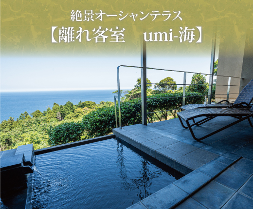 絶景オーシャンテラス【離れ客室　umi-海】